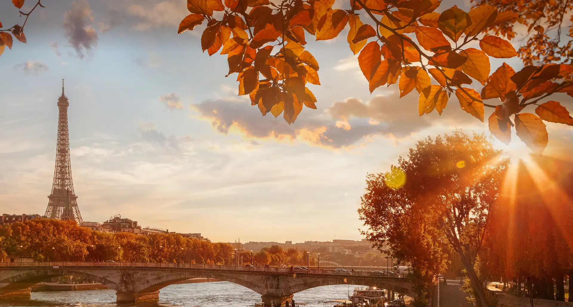 Fly Into Fall